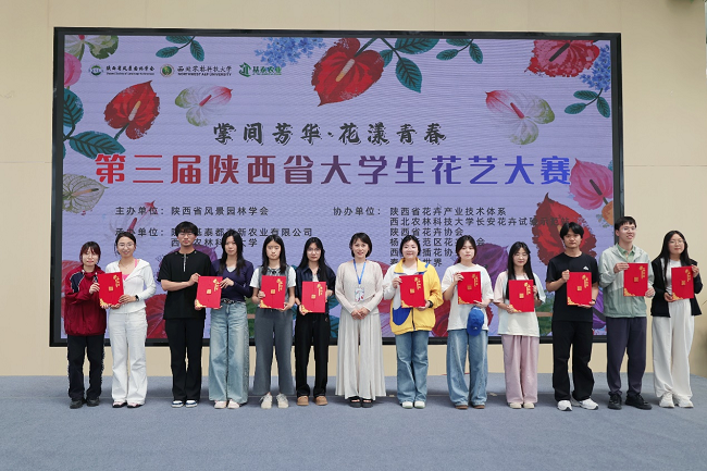 图片 2.png